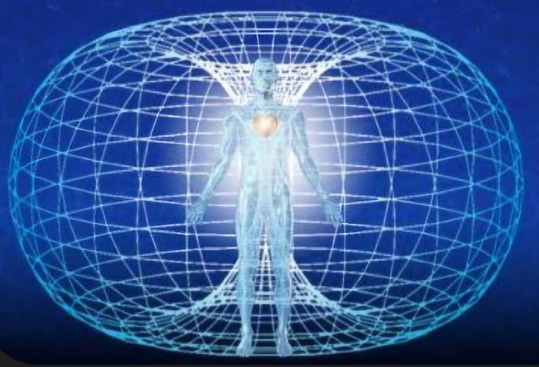 The Human Toroidal Field